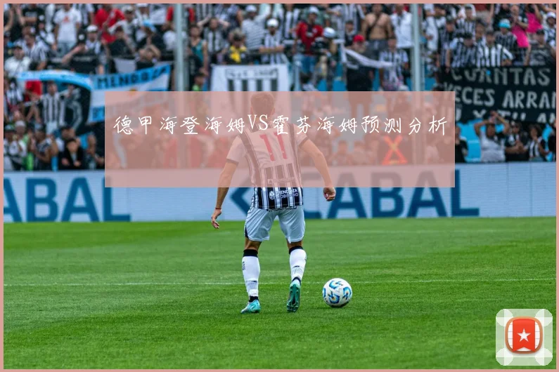 德甲海登海姆VS霍芬海姆预测分析